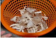 seo怎么做？如何制定網上商城系統的SEO策略
